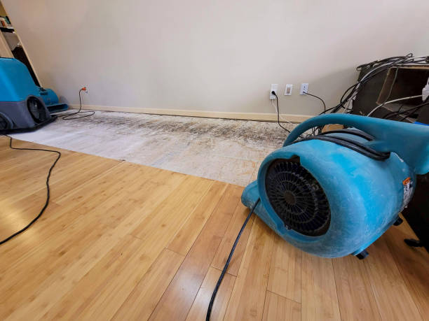 Professional Water Damage Repair technician working in Paris, TN